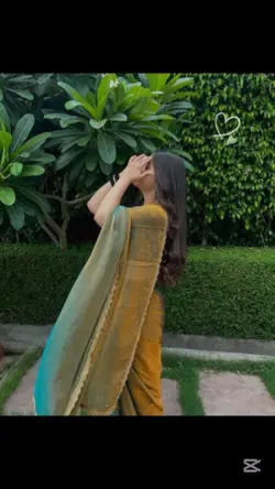 voice video 