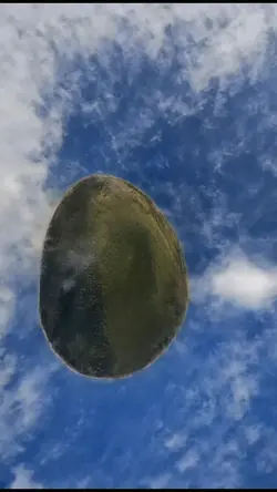 ZOOM CAR