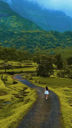 smooth slow motion 