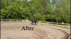 Before VS After