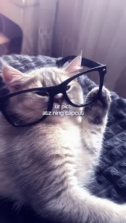 JJ BRAZIL NO MIROR