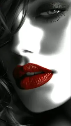 Velocity Makeup 