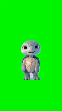 Turtle 