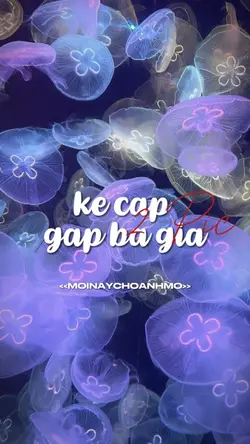 kẻ cắp
