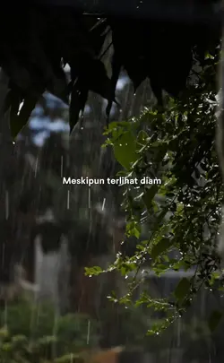 Sembuh Sendiri