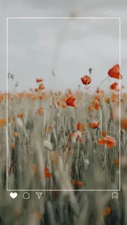 The wind blows -2