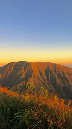 sunrise estetik