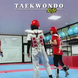 Taekwondo Life