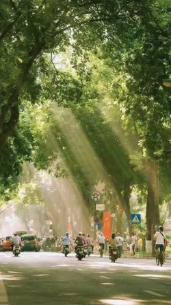 Thu đến rồi hoa đã 