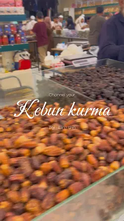 Kebun kurma