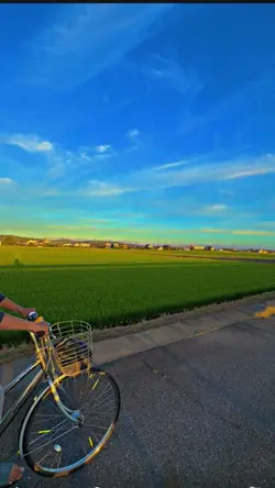 1 VID HD FILTER 