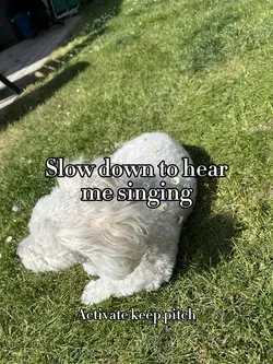 Slow down