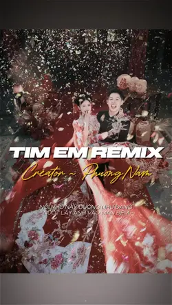 TÌM EM REMIX