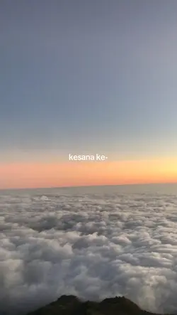 kesana kemari~~~~