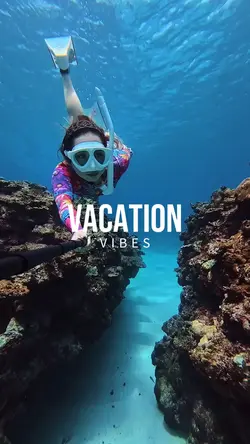VACATION VIBES 2026