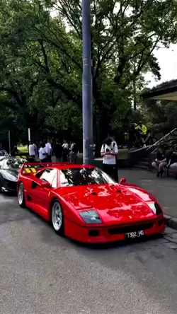 FERRARI F40 REELS