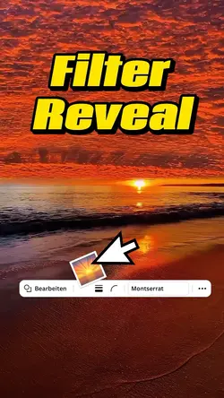 🌅 Filter Reveal