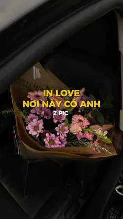 MẪU 2 PIC 