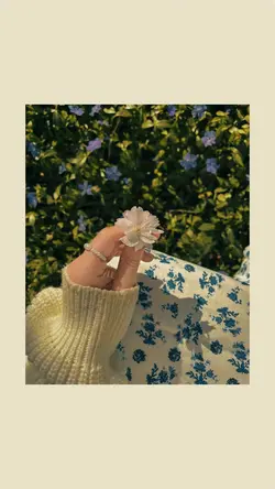 Filter estetik