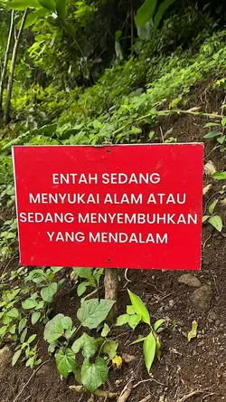 entah sedang menyuki
