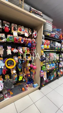 MARKET