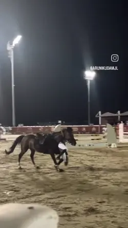 equestrian slowmo