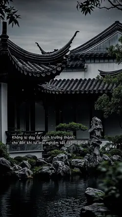 Caption & màu