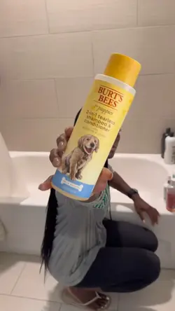 Teddy’s Grooming Day