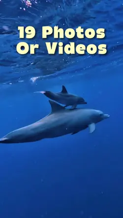 19 Photo Slides