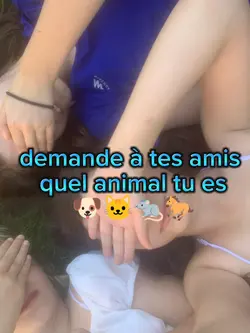 animal partie 1