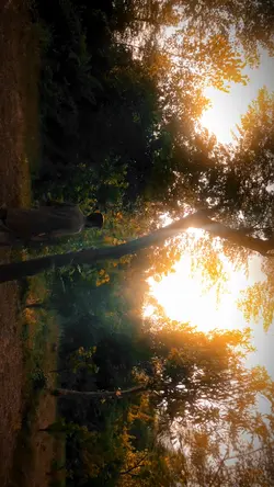Random Clips ✨