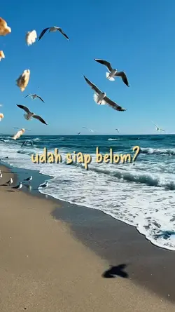 udah siap belom?