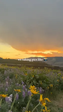 Camera roll