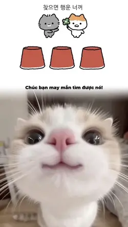 Chúc bạn may mắn