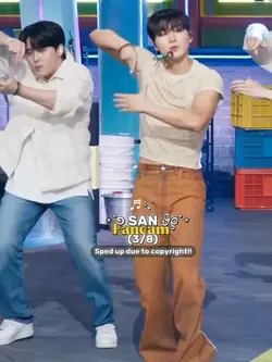 FANCAM