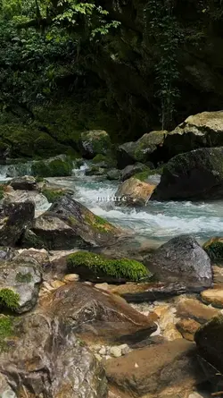nature