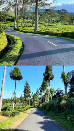 2 video road trip