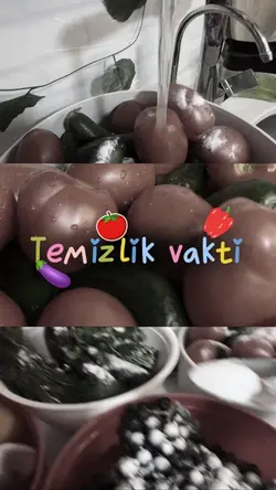 temizlik vakti 