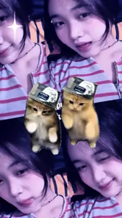 versi kucing joget