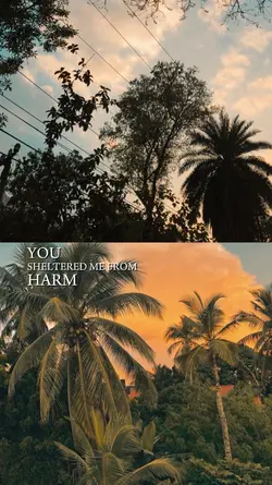 you sheltered me 