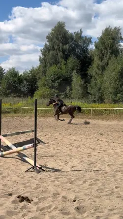 slowmo