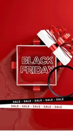 Black Friday Sale