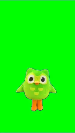 Duolingo Meme 