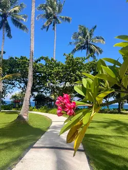 Tropical vibes