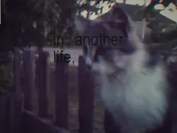 In another life 