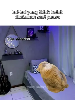 dan yap