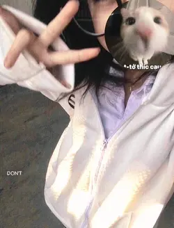 1pic