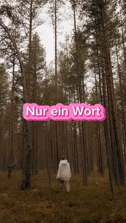 Nur ein Wort 