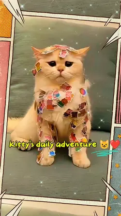 Pet day. cat lovers 
