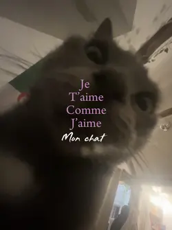 Mchattt